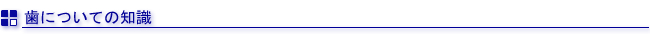 歯についての知識